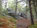 2012-10-11 16-30-52 Rando Fontainebleau-apres-midi DLe